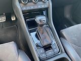 Škoda Kodiaq (2020) 2.0 TDI 4x4 DSG RS - náhled 25