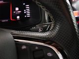 Škoda Karoq (2020) Sportline 1.5 TSI, ČR - náhled 18