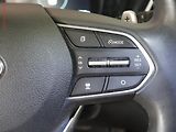 Hyundai Santa Fe (2020) 2.2 CRDi 4x4, 1.maj,ČR - náhled 16