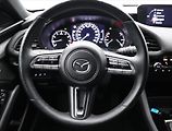 Mazda 3 2,0 Skyactiv-X180 GT Plus Bose - náhled 17