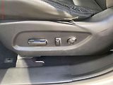 Hyundai Santa Fe (2014) 2.2 CRDi Grand 4WD, Premium - náhled 14