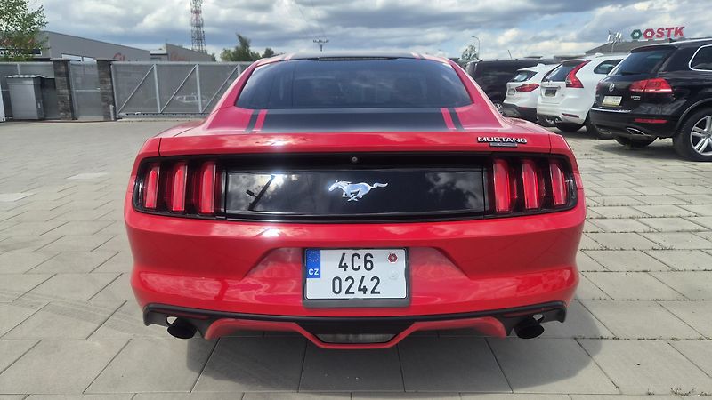 Ford Mustang 2.3T  50 Years Edition 233kw - fotka 7 z 19
