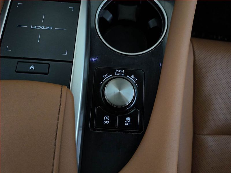 Lexus RX 400h (2022) 300 AWD - fotka 17 z 23