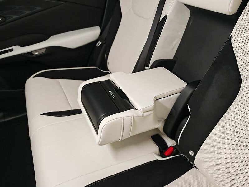 Lexus RX 500h 500h F Sport Special Edition - fotka 24 z 43