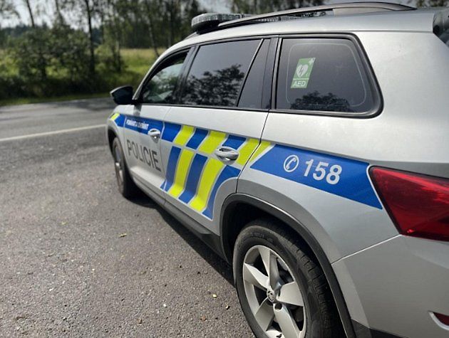 Policie, zdroj: Deník/Radka Bárová