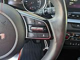 Kia XCeed (2023) 1.5T-GDi, 1.maj,ČR, AT, LED - náhled 14