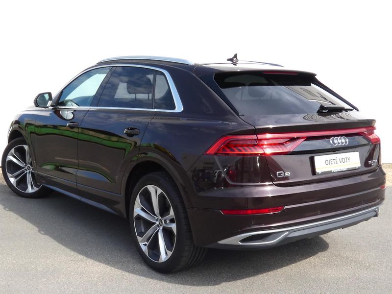 Audi Q8 50 TDI Quattro - fotka 13 z 30
