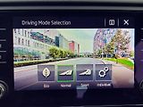Škoda Octavia TDi 4x4 SERV.KNÍŽKA,CEBIA    - náhled 42