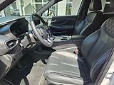 Hyundai Santa Fe 1.6 T-GDi PHEV,1.maj., Luxury - náhled 9