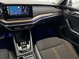 Škoda Octavia (2022) Scout - CZ - DPH - 1.Majitel - náhled 19