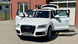 Audi Q5 (2013) 3.0TDi*180kW*QUATTRO*EXCLUSIVE - náhled 22