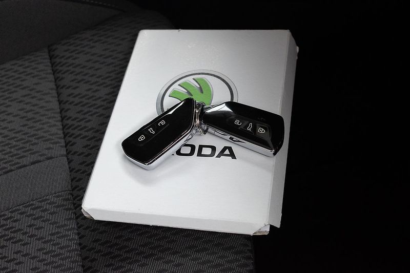 Škoda Octavia 1.5 TSI e-TEC*STYLE*DPH*ČR 1.M - fotka 33 z 41