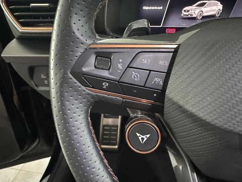 Cupra Formentor (2023) 2,5TSIF VZ5 DSG 4x4  - fotka 30 z 37