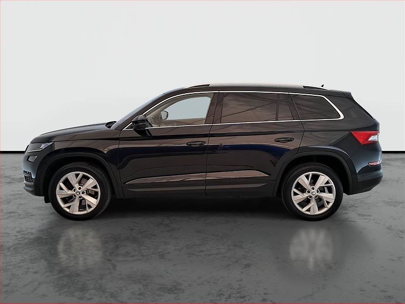 Škoda Kodiaq (2019) Style 2.0 TDI 4x4 - fotka 3 z 22