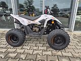 Linhai ATV 100 LH (2026) ATV 110 - náhled 22