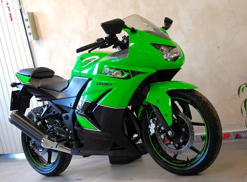 Kawasaki Ninja 250 R (2010) Ninja 250R - hezký stav, ŘP sk - fotka 2 z 20