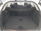 Renault Mégane (2025) 1.3 TCe - náhled 14