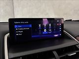 Lexus NX 300h 2,5   Hybrid Luxury LED Assist - náhled 30