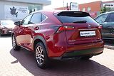 Lexus NX 300h NX300h AWD DC Executive Plus S - náhled 7