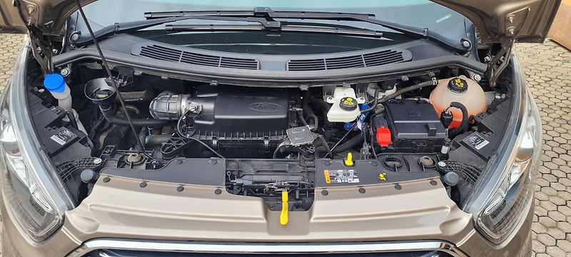 Ford Tourneo Custom (2020) 320 L1 2,0TDCi 96kW Automatik  - fotka 41 z 46