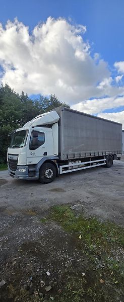 DAF LF (2016) Daf LF 310 - fotka 3 z 12