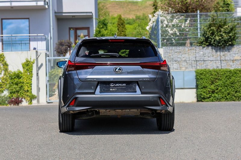 Lexus UX 300h 300H 2.0 HEV BUSINESS TECH - fotka 21 z 22