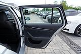 Škoda Octavia IV  2.0 TDI DSG 4x4/150 PS - náhled 17