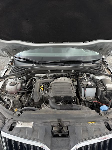 Škoda Octavia (2019) 1. Majitel, Dovoz - fotka 21 z 21