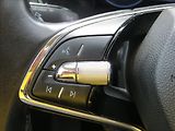 Škoda Octavia 2,0 TDI 85kW Ambition ČR - náhled 21