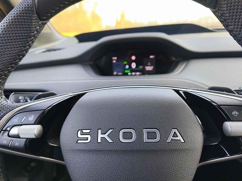 Škoda Elroq v našem testu vezla psí štěně i sudy piva.