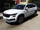 Škoda Kodiaq (2022) 2.0 TDI 110kW FACELIFT - náhled 1