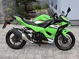 Kawasaki (2025) - náhled 1