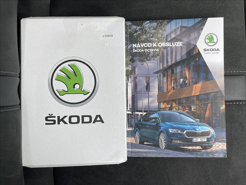 Škoda Octavia 2,0 TDI DSG Style Plus TAŽNÉ - fotka 19 z 25