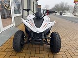 Linhai (2026) ATV 110 - náhled 2