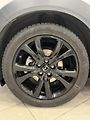 Mazda CX-30 (2024) 2.0L SKYACTIV X 186ps Homura - náhled 9