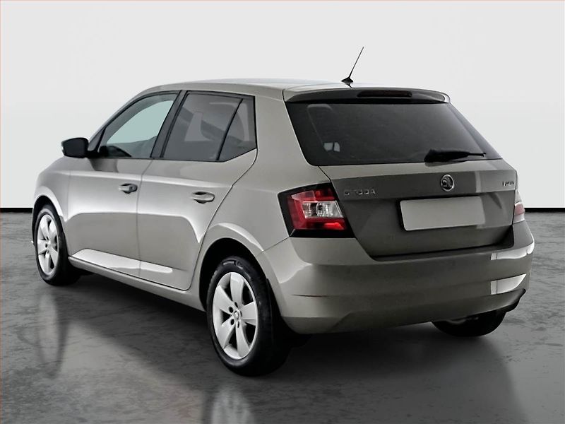 Škoda Fabia (2018) 1.0 TSI, ČR,1.maj - fotka 4 z 18