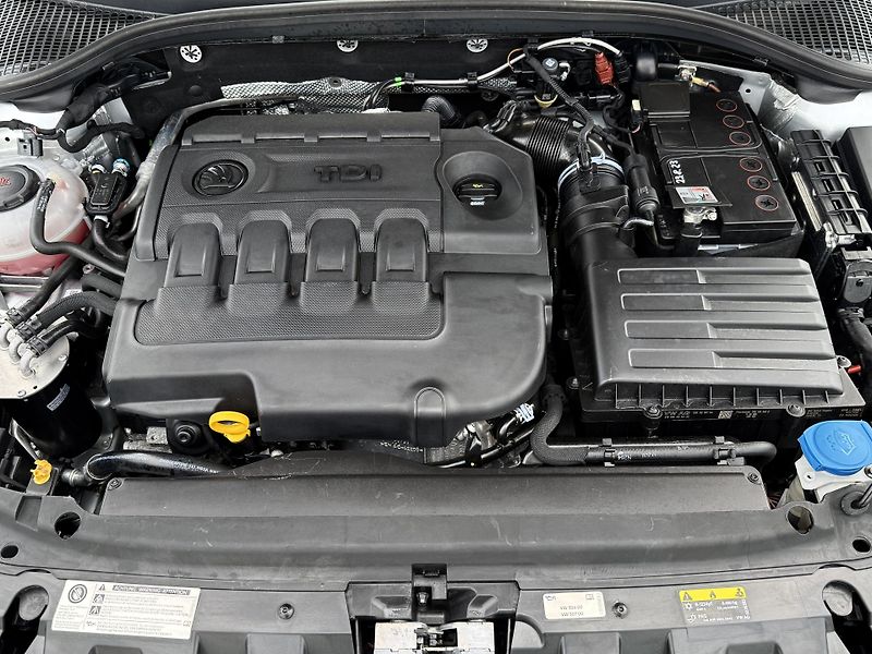 Škoda Octavia Scout 2,0 TDI 4x4 Automat  - fotka 6 z 37