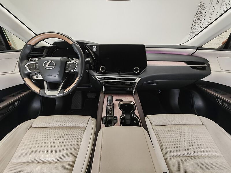 Lexus RX 450h plus RX 450h+ Luxury - fotka 14 z 50