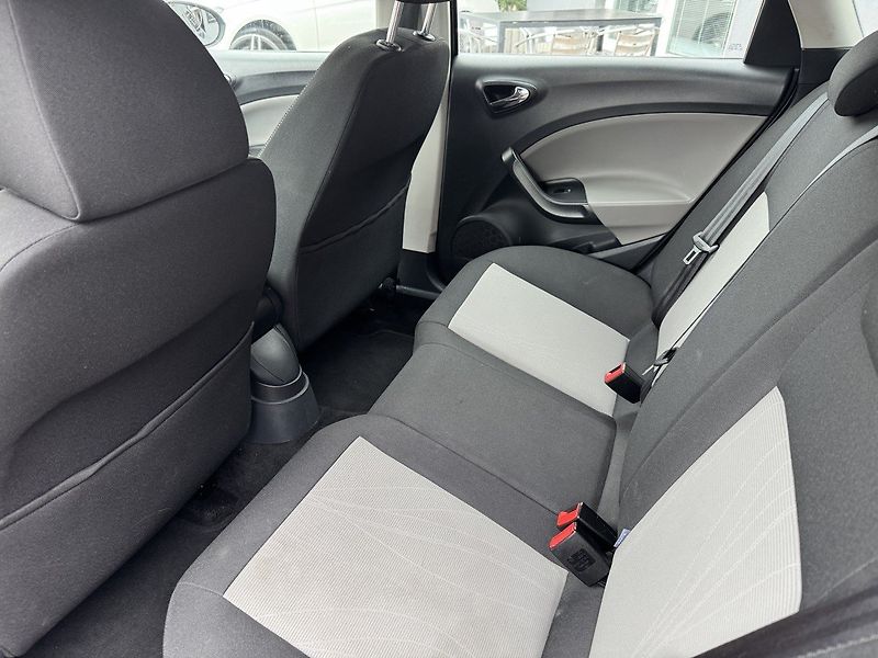 Seat Ibiza (2014) 1.4i 16V Navi Digi Klima - fotka 22 z 50