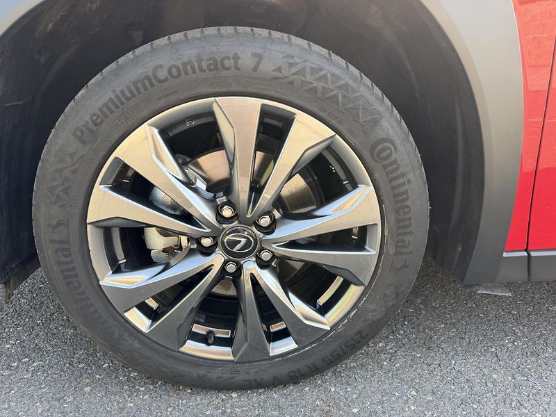 Lexus UX 300h F SPORT automat. navigace - fotka 10 z 25