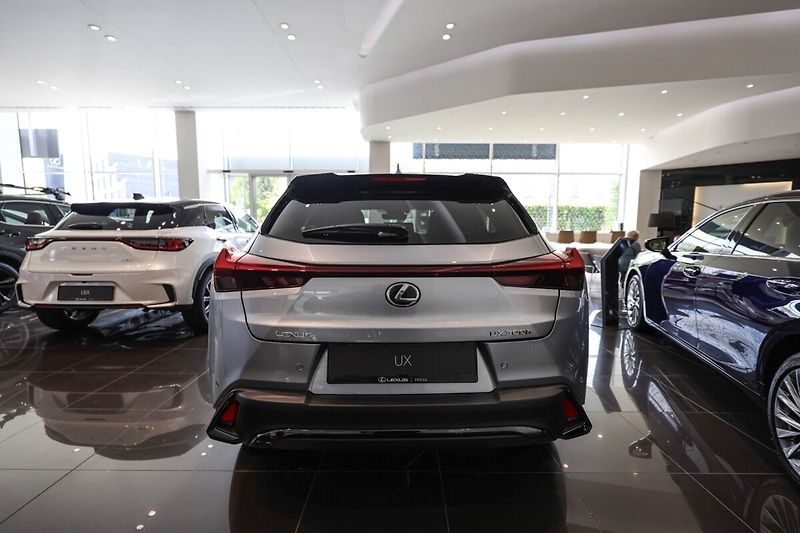 Lexus UX 300h 300h 2.0L HEV F SPORT DESIGN - fotka 5 z 14