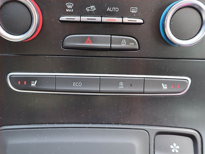 Renault Grand Scénic (2021) 1.3 TCe, Automat, 7 míst, Kůže - fotka 19 z 22