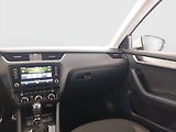 Škoda Octavia (2019) Scout 2.0 TSI, 4X4, Automat - náhled 8