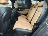 Hyundai Santa Fe 2.2 CRDI/142kW Luxury PNM DCT - náhled 16
