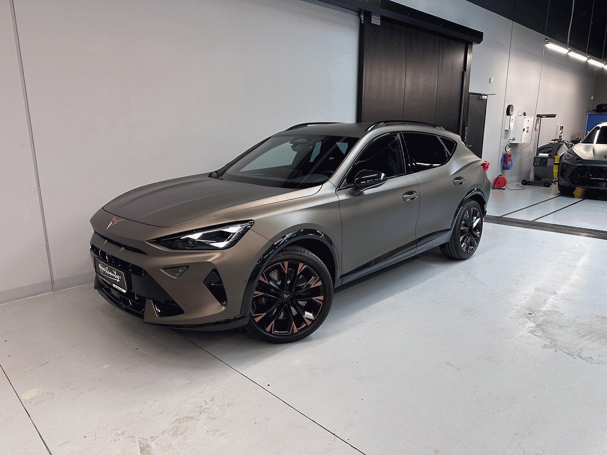 Cupra Formentor VZ 2.0 TSI 333k 4WD *HD MTRX*I