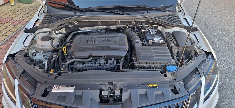 Škoda Octavia (2018) 2.0 TSI DSG RS - fotka 40 z 47