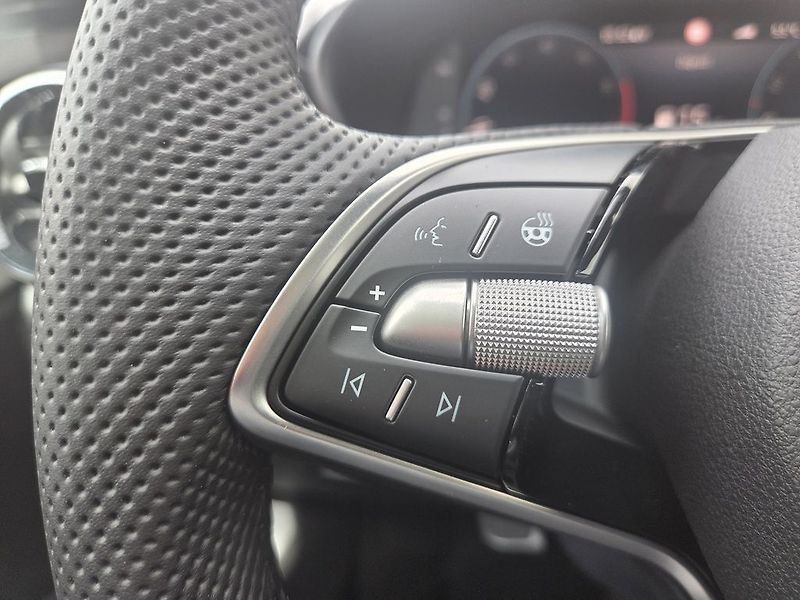 Škoda Fabia Dynamic 1,0TSI 85kW - fotka 14 z 15