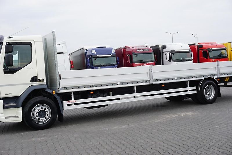 DAF LF (2018) 320 / ACC / E 6 / BURTOWY / 24 - fotka 15 z 44