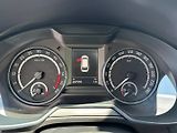 Škoda Octavia (2015) RS 2,0TDI 135kw DSG - náhled 15