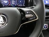 Škoda Kodiaq - náhled 18